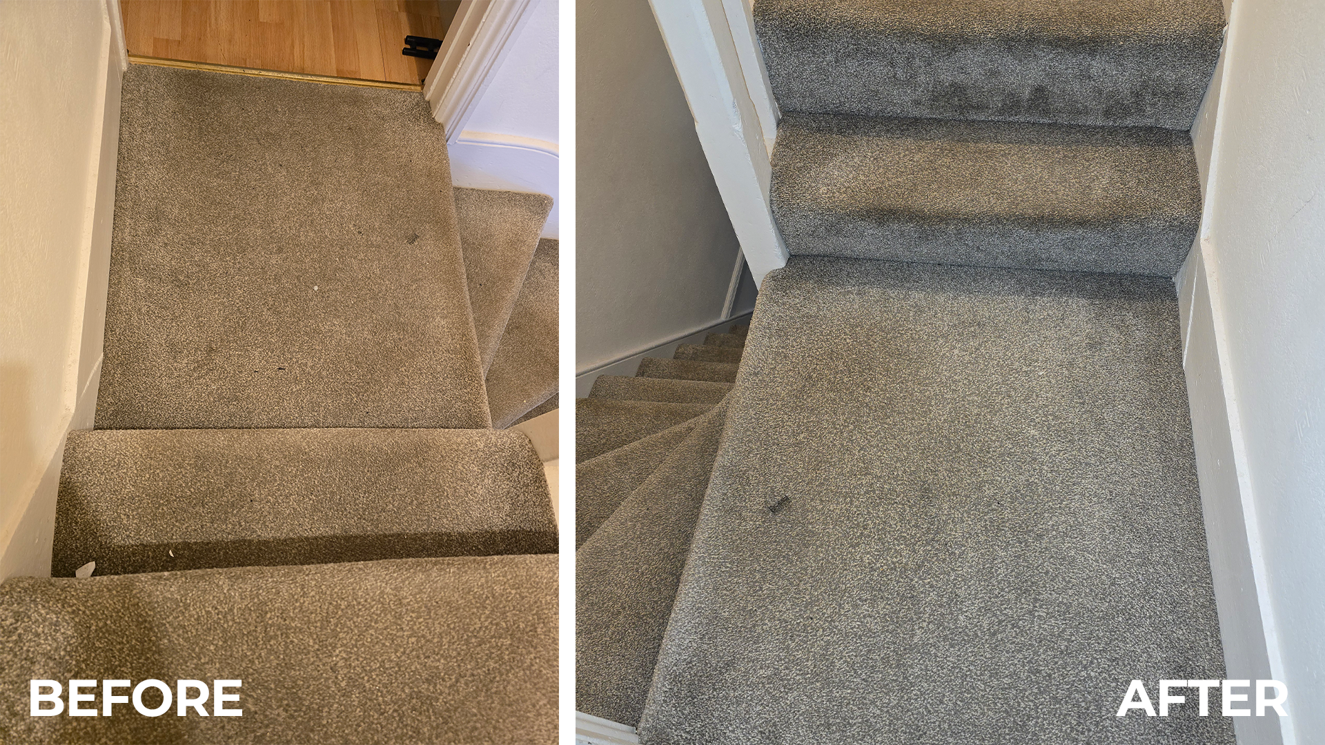 carpet-02