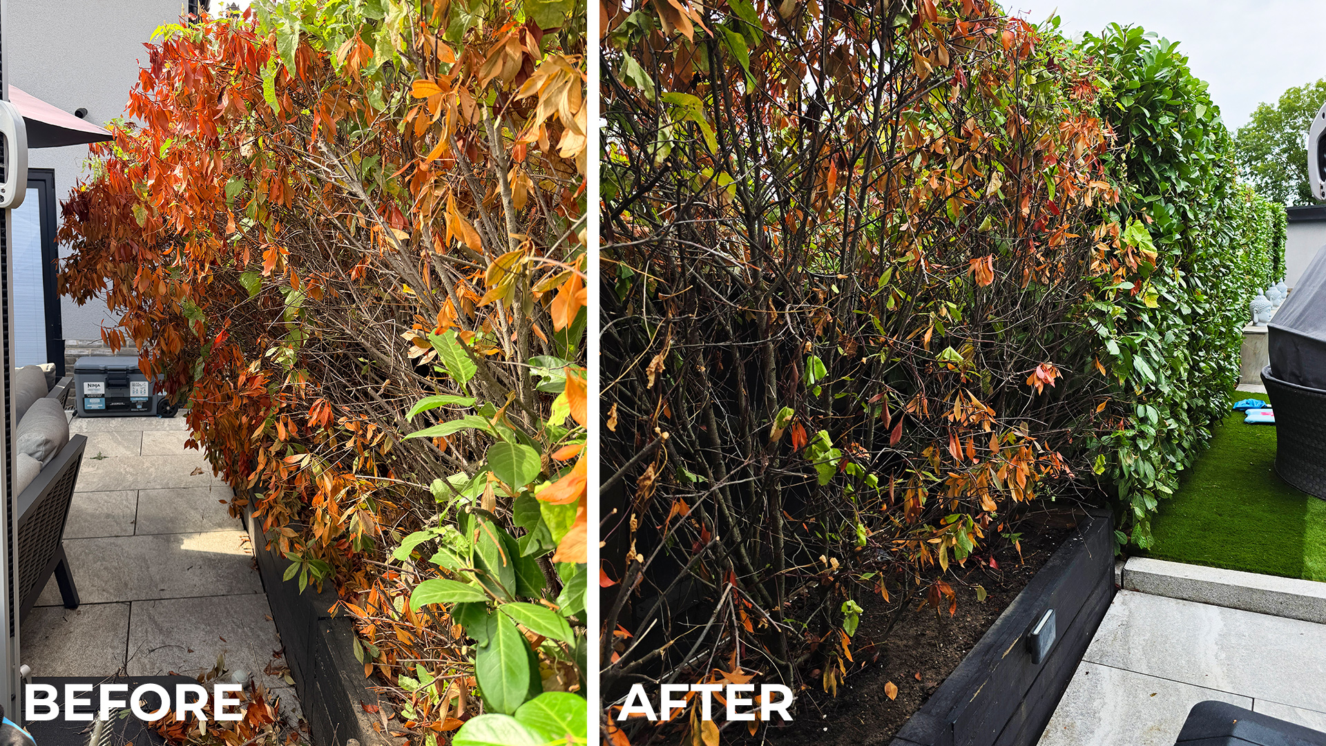 BF-AF-G02